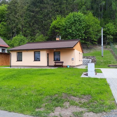 Villa Líšný 105 Zelezny Brod Exterior foto
