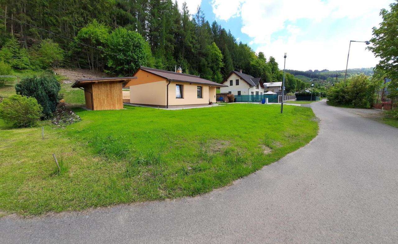 Villa Líšný 105 Zelezny Brod Exterior foto